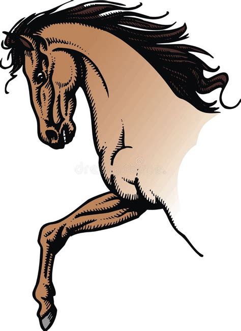 10,400+ Wild Horse Stock Illustrations, Royalty.